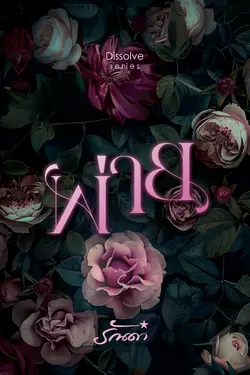 ปกอีบุ๊กเรื่อง พ่าย