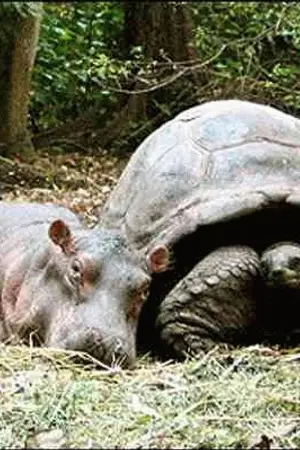 ปกนิยาย ย่างสามขุม (ตอนพิเศษ)