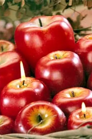 ปกนิยาย ★THE APPLE AND SOUL ☆