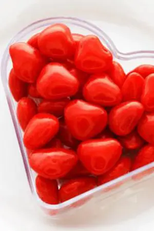 ปกนิยาย Befor Valentine