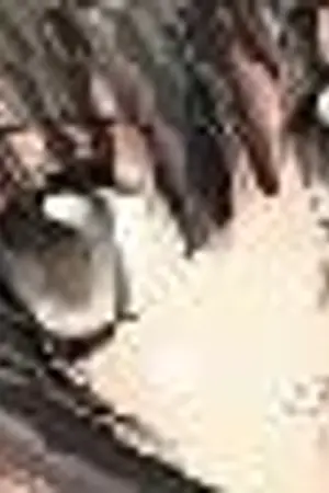 ปกนิยาย นี่แกเป็นปิศาจงั้นหรอ?! (สังกัดYaoi)