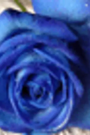 ปกนิยาย Sweet Evolution ( Yaoi TAE7EN )