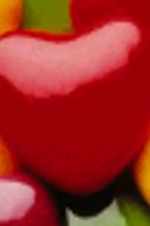 ปกนิยาย - elEmeNt - เรื่องอลวล...ป่วนคนอลเวง -