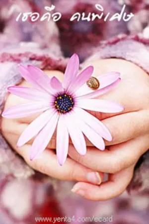 ปกนิยาย รวมลิงค์นิยายของไรตอร์