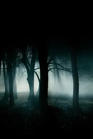 ปกนิยาย Fealina เด็กสาวปริศนา