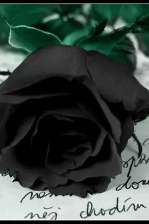 ปกนิยาย My Fern Diary