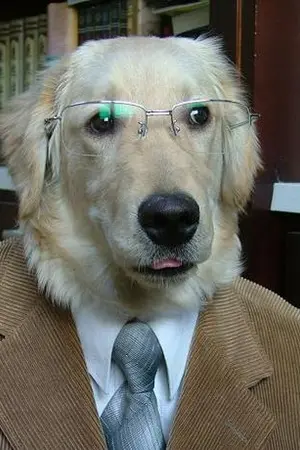 ปกนิยาย เรื่องสั้น ฉันรักเธอ[YAOI]