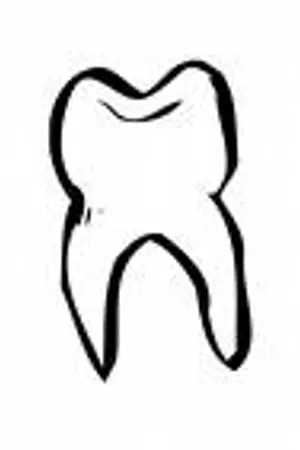 ปกนิยาย เส้นทางสู่การเป็นทันตแพทย์