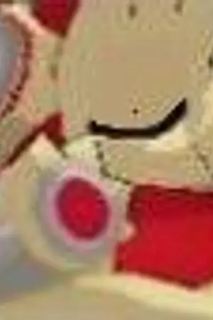 ปกนิยาย Kono-Setsu Love Story :  Feeling Style