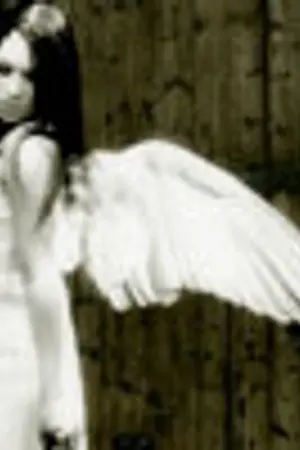 ปกนิยาย ทิฐิแห่งรัก