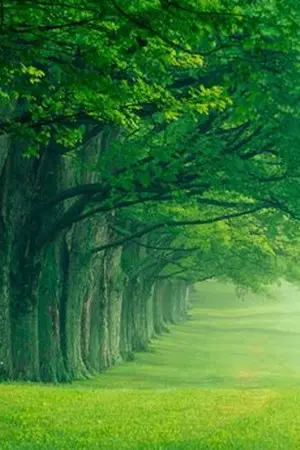 ปกนิยาย คุณคือต้นไม้ชนิดไหน???(ทำนายนิสัยจ้าเอามาลงให้)