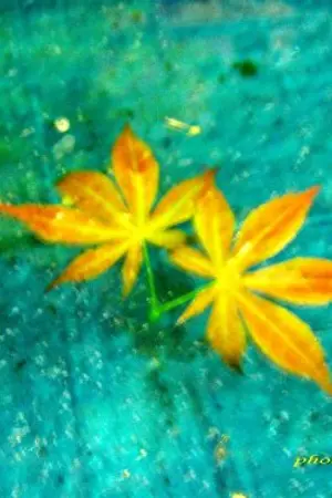 ปกนิยาย แค่รักเธอพอไหม