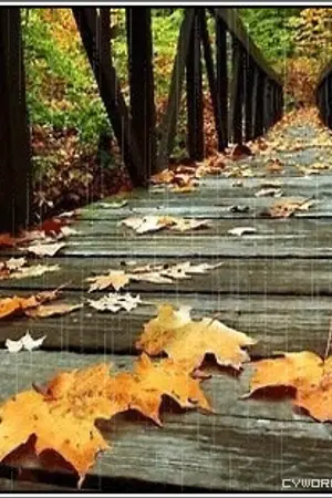 ปกนิยาย Kingdom Animalia