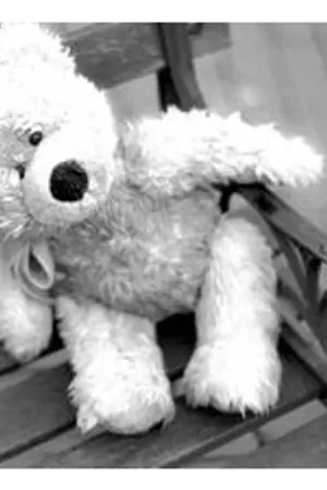 ปกนิยาย Buddy สื่อรักวัยใสสกิดหัวใจนายสุดหล่อ