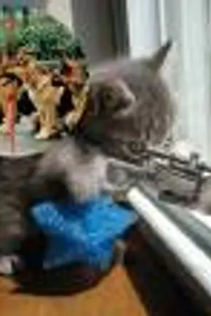 ปกนิยาย ตะลุยชีวิตมหาลัย ยัย สัตวแพทย์ขาลุย