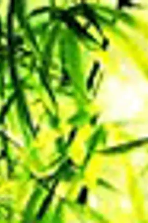 ปกนิยาย Guardian โรงเรียนผู้พิทักษ์ [[yaoi]]