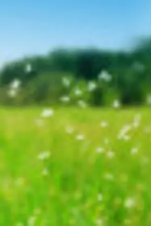 ปกนิยาย {[ห้องเก็บของ]} เข้าได้ไม่ว่า