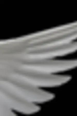 ปกนิยาย =+ The Rhythm of Demon, The Sound of Love +=   (TVXQ : Yaoi)