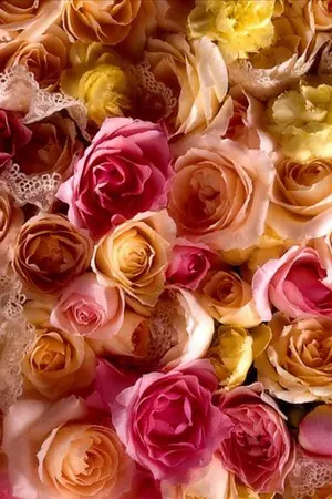 ปกนิยาย Flower Lover รักนะนายเจ้าชายดอกไม้