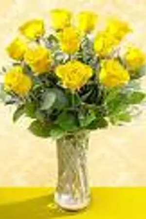 ปกนิยาย The Friend แด่มิตรภาพที่ยั่งยืน