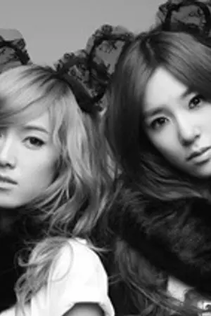 ปกนิยาย [SNSD-Yuri] No...Nothing [JeNy,Jeti]