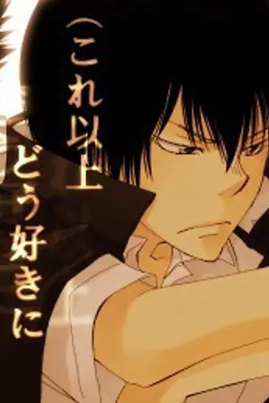 ปกนิยาย [Song Fic Reborn] แสงและเงา (8018) Part Hibari