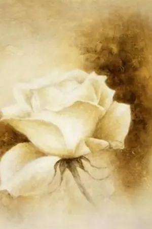 ปกนิยาย MY PRINCE เจ้าชายไร้รัก  Yaoi ~(yunjae)~