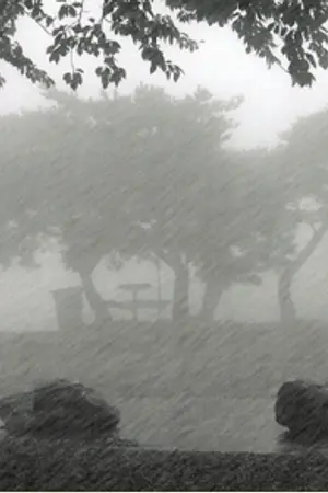 ปกนิยาย RAIN SUCK