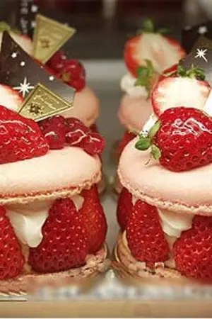 ปกนิยาย คุณชายขี้เก๊กกะยัยจอมจุ้น