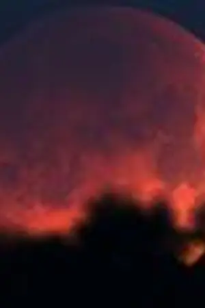 ปกนิยาย After the Sunset >>HaeEun EunHae<<