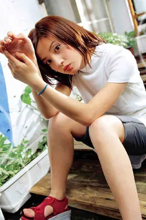 ปกนิยาย Meteor Garden (my version)