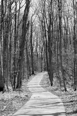 ปกนิยาย ตะวันลับตา ใต้ฟ้าเดียวกัน