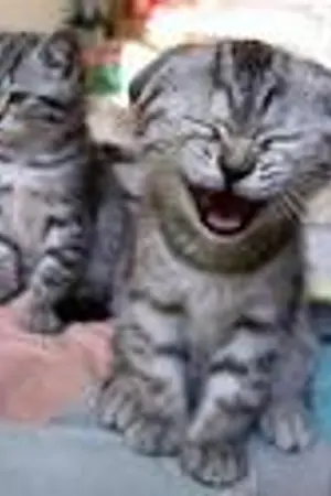 ปกนิยาย กลอนขำนิดๆมาอีกแล้ว. . .จ้า