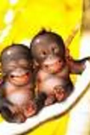 ปกนิยาย กลอนตลกมาอีกแล้วครับ . . . . .พี่น้อง