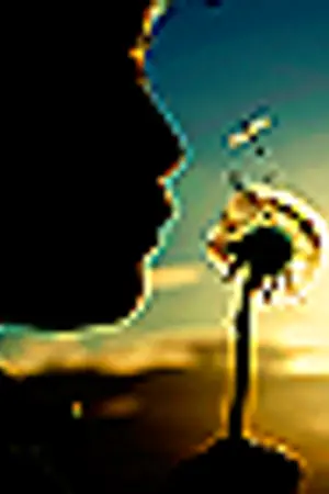 ปกนิยาย '<i>NOW</i> #design,