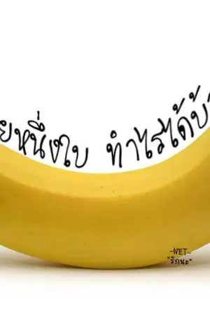 ปกนิยาย เ รื่ อ ง ก ล้ ว ย ๆ