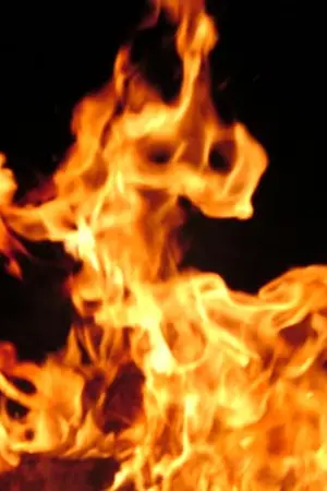 ปกนิยาย The Sun ผมเป็นมาเฟีย งั้นเรอะ  !!