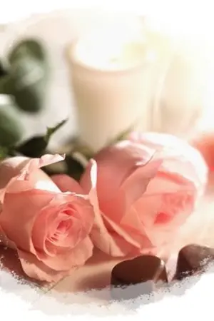 ปกนิยาย ลิขิตรัก ด้วยหัวใจ