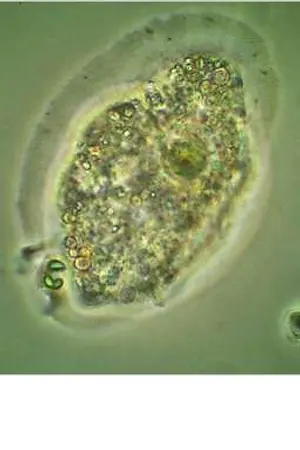 ปกนิยาย chamber