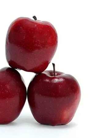 ปกนิยาย The apple