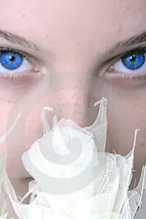 ปกนิยาย แปลเพลงสากล // แปลเพลงภาษาอังกฤษ // แบ่งปันเนื้อเพลง