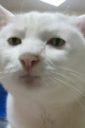 ปกนิยาย เรื่องสั้นชุด "เรื่อยเปื่อย"