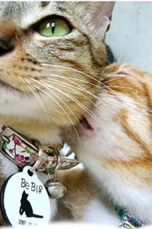 ปกนิยาย Me n My love