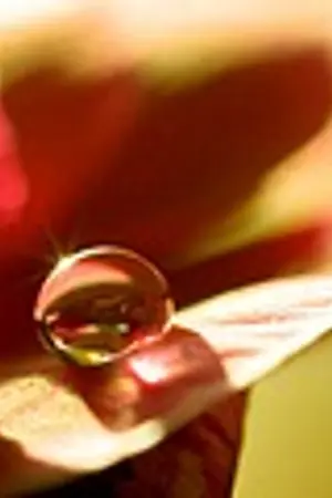 ปกนิยาย แอคลาส ออนไลน์