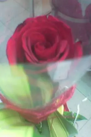 ปกนิยาย Lonely เหตุเกิดจากความเหงา  ก็เราเข้ากันไม่ได้