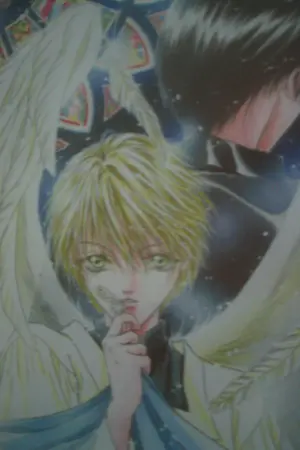 ปกนิยาย จับนาคา (YAOI)