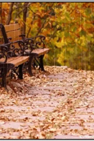 ปกนิยาย [Fic Yuri] What I Hate about You [wg snsd 2ne1 csjh]