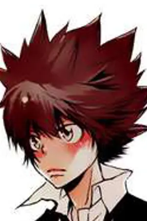 ปกนิยาย รวม Short Fanfiction Katekyo Hitman Reborn [YAOI]