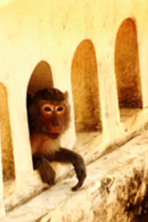 ปกนิยาย มุมมองของข้าพเจ้า : ทัศนศึกษาตามรอยลิลิตตะเลงพ่าย