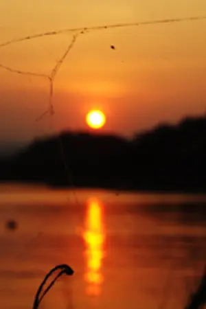 ปกนิยาย สองแขน สองขา สองตา หนึ่งหัวใจ